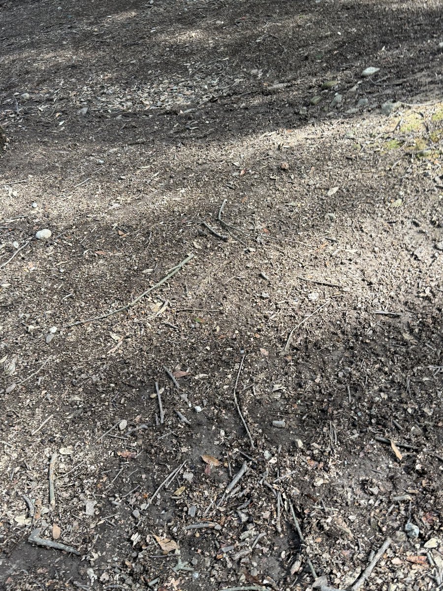 心奈良　cocoro nara tweet media