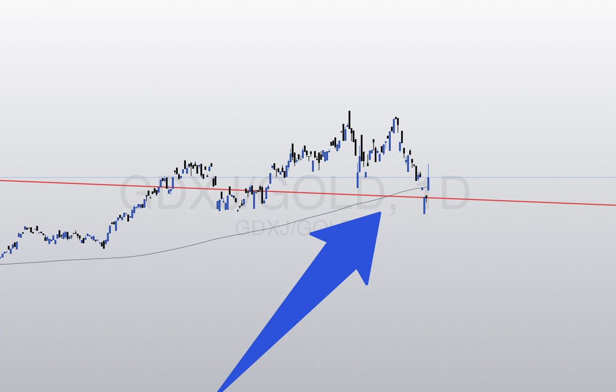 Resource Alpha tweet media