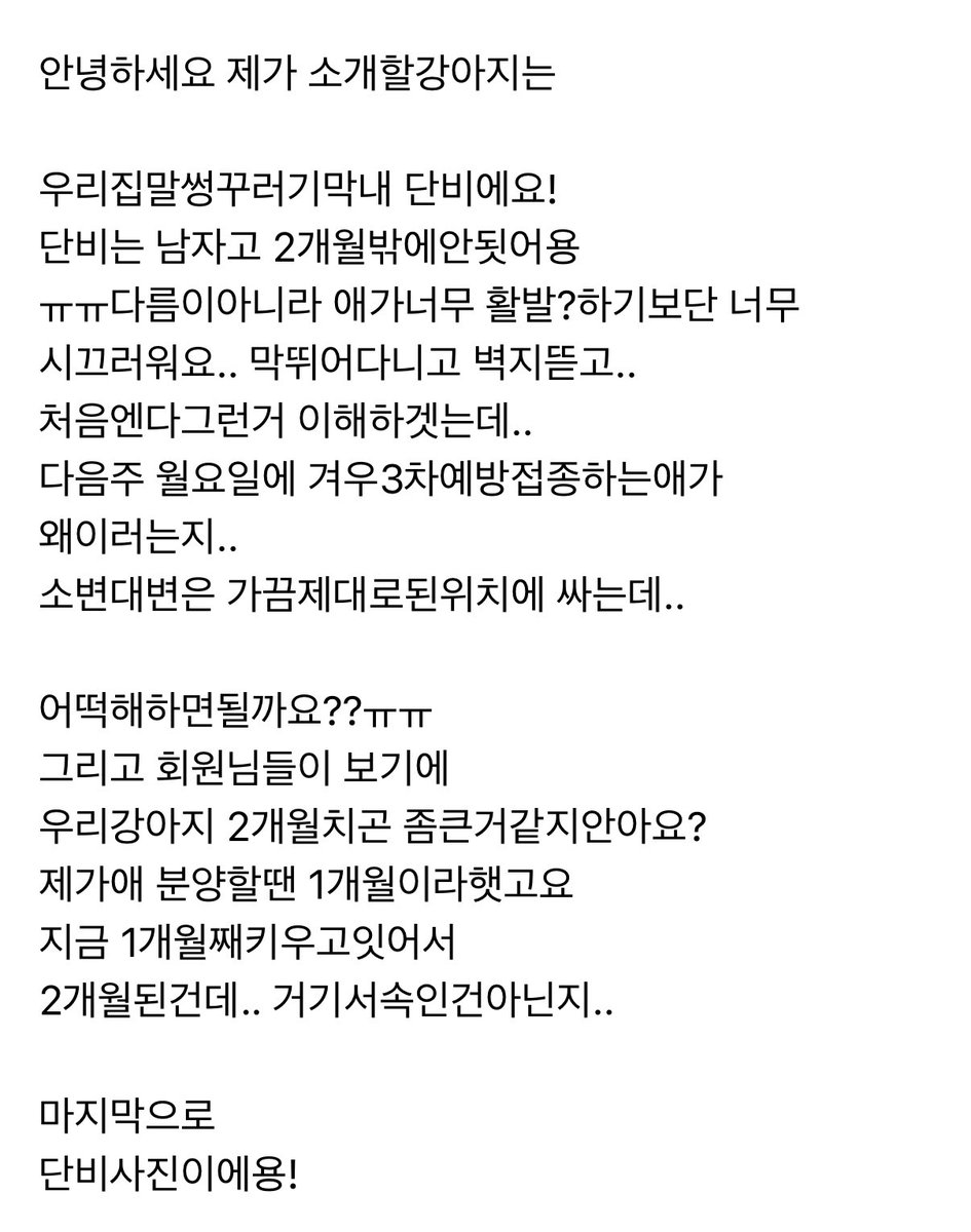 팥찐빵 찌는 중 👩🏻‍🍳💭 tweet media