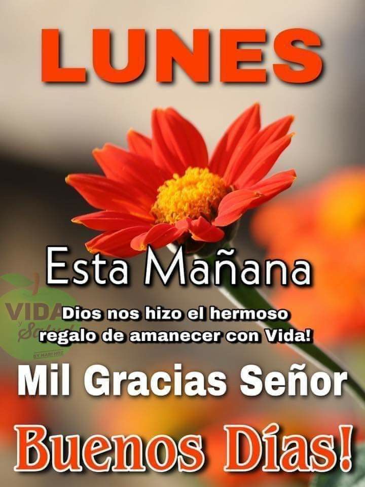 Felipe Martinez Espe tweet media