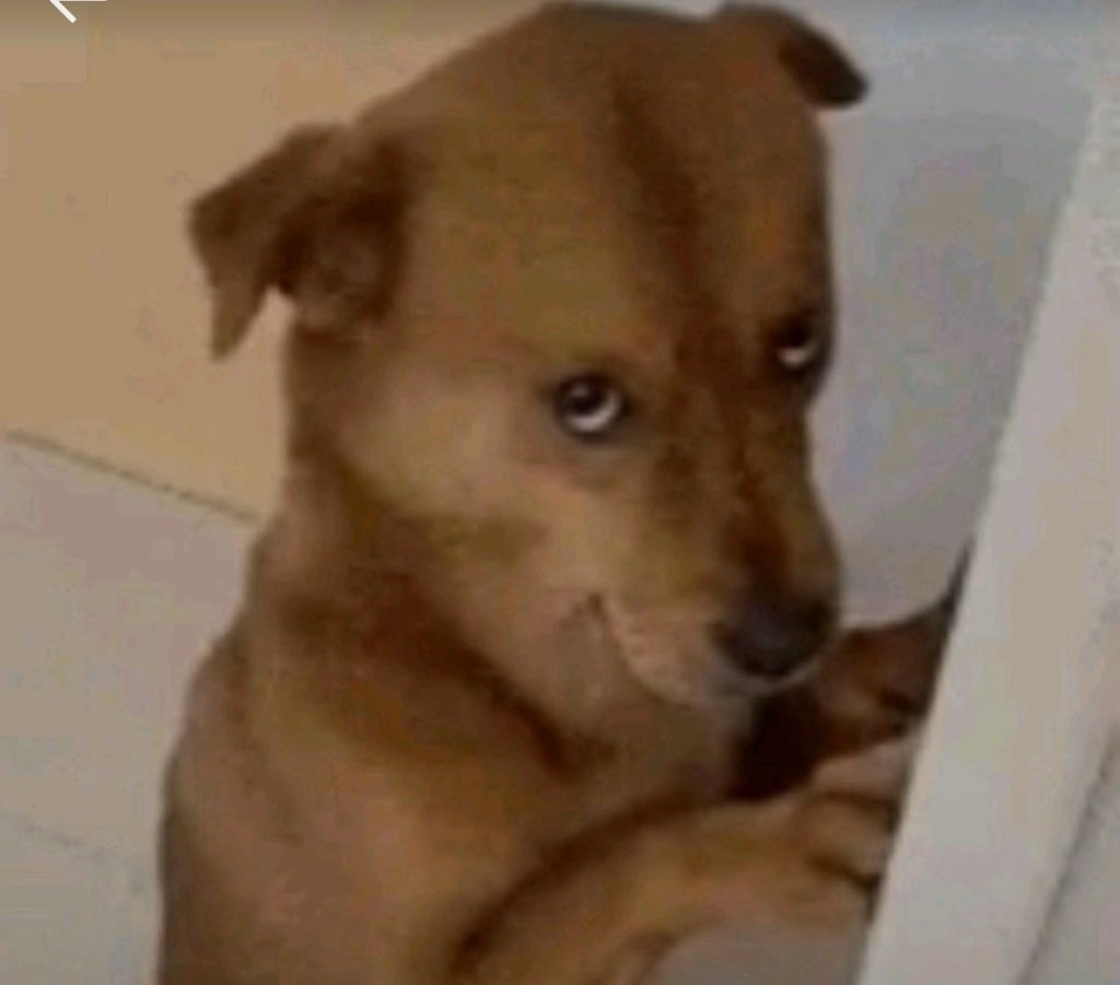 Cizz Travis tweet media