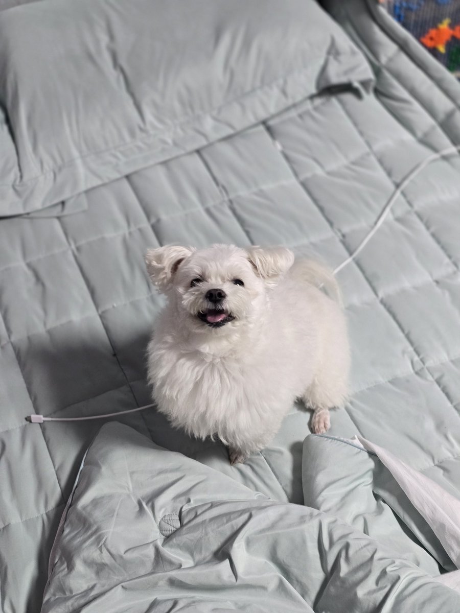 🖤전충💙 tweet media