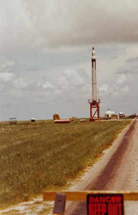 eccorca 🐬 tweet media