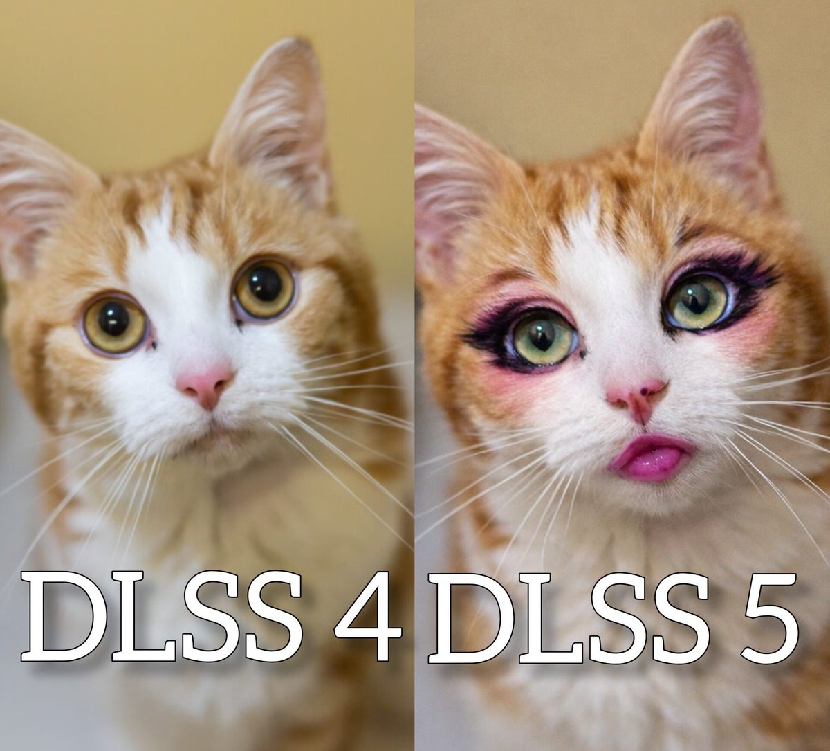 NF | 141 tweet media