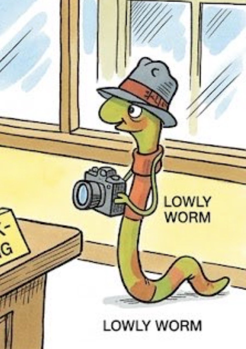 Longswordwife tweet media