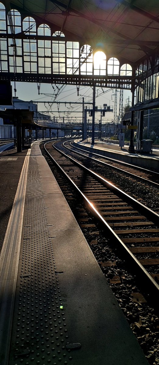 Alberto Moyano tweet media