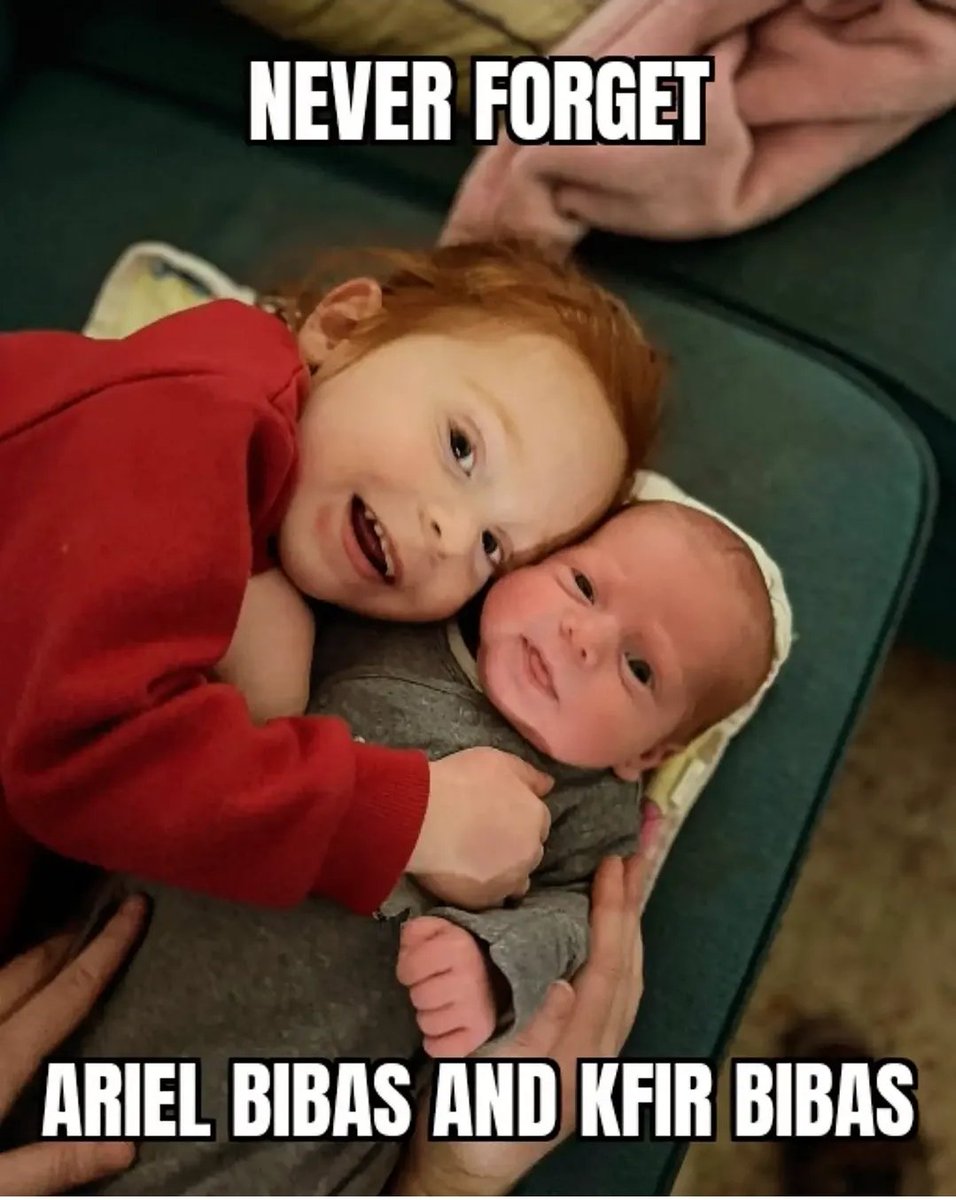 Yisrael official 🕎 tweet media