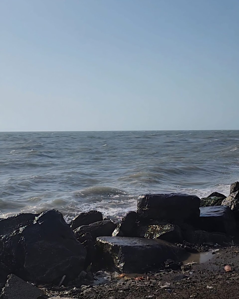 علي السنيدار tweet media