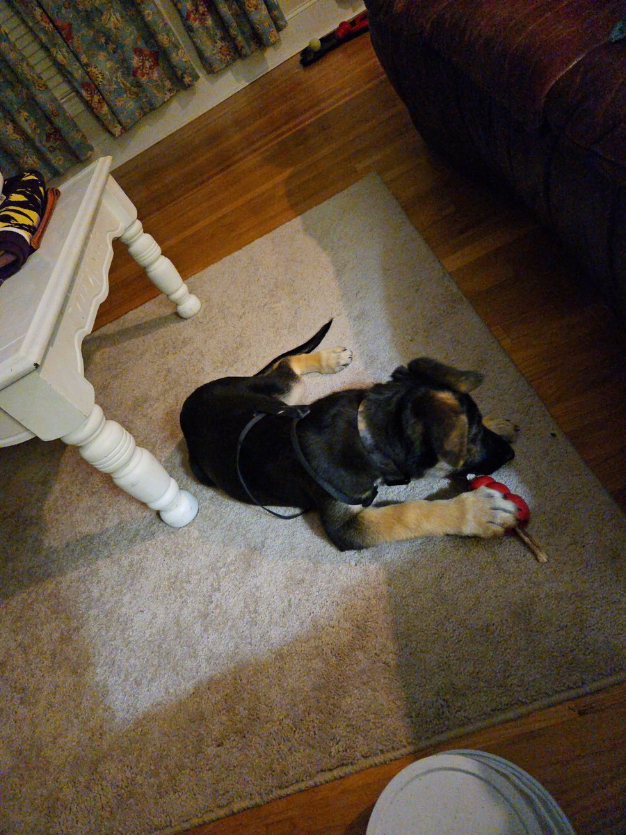 SqueakynBB tweet media