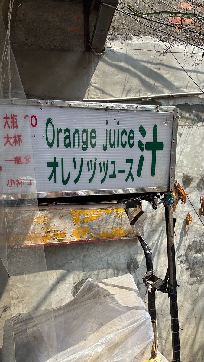 高橋響 / Hibiki Takahashi tweet media