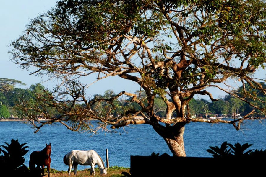 Colombia Belleza Pura tweet media