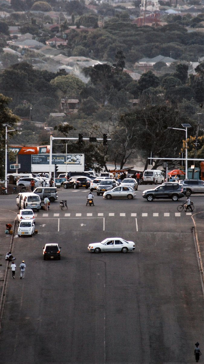 chimango tweet media