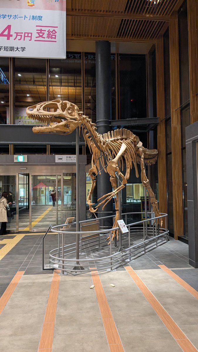 André Spiteri アンドレ・スピテリ tweet media