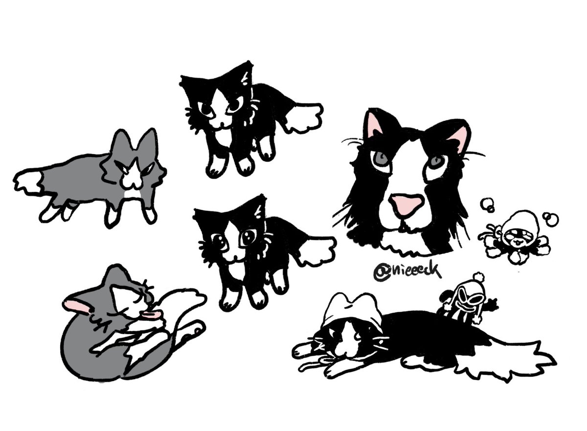 巧Ｋ力 tweet media