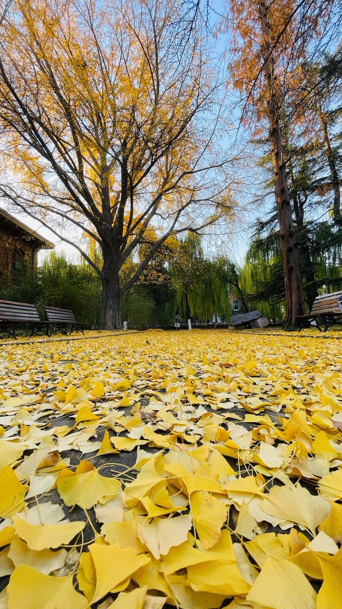 belvin nottingham tweet media