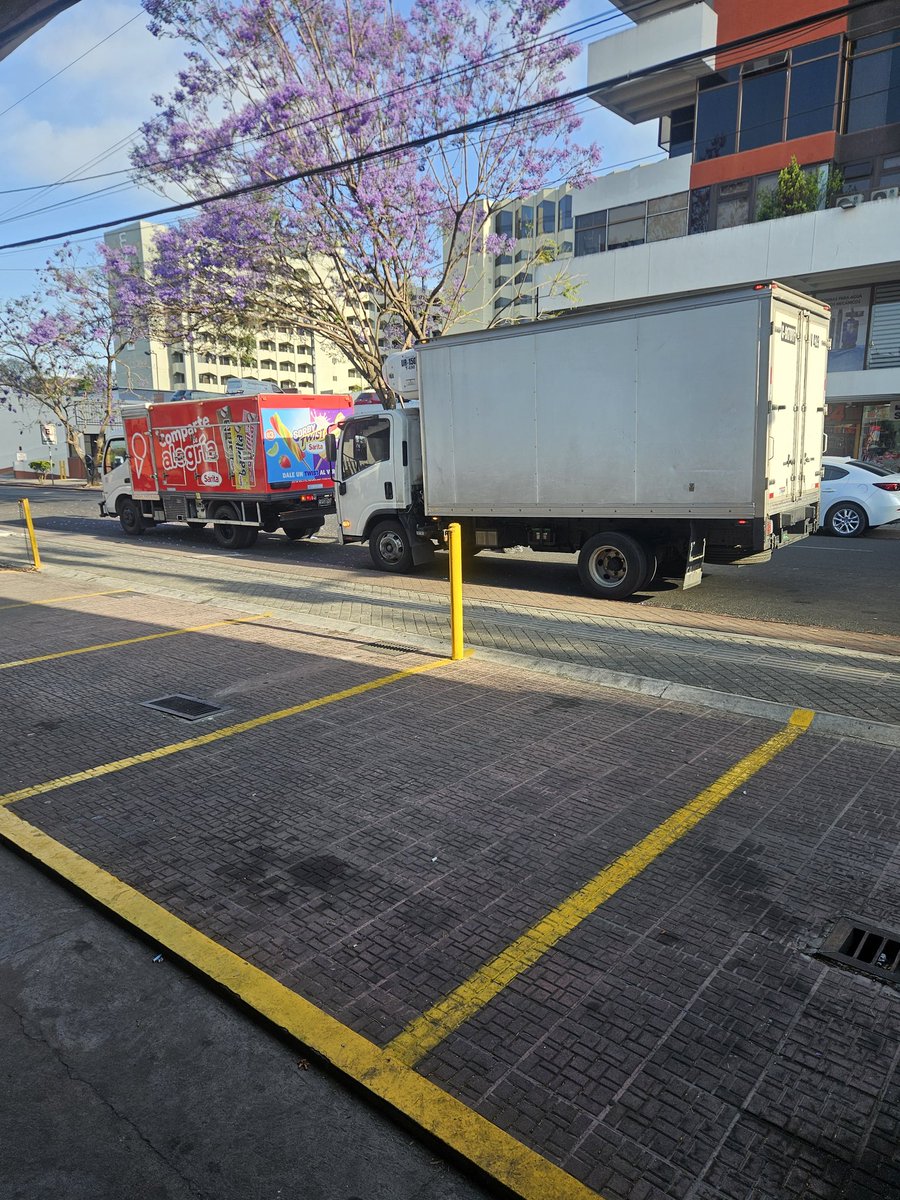 Dieguitos & Mafaldas tweet media