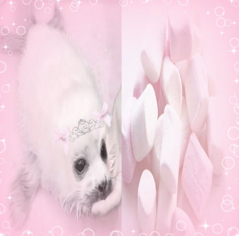 𝐿𝒾𝓊 🍭 tweet media