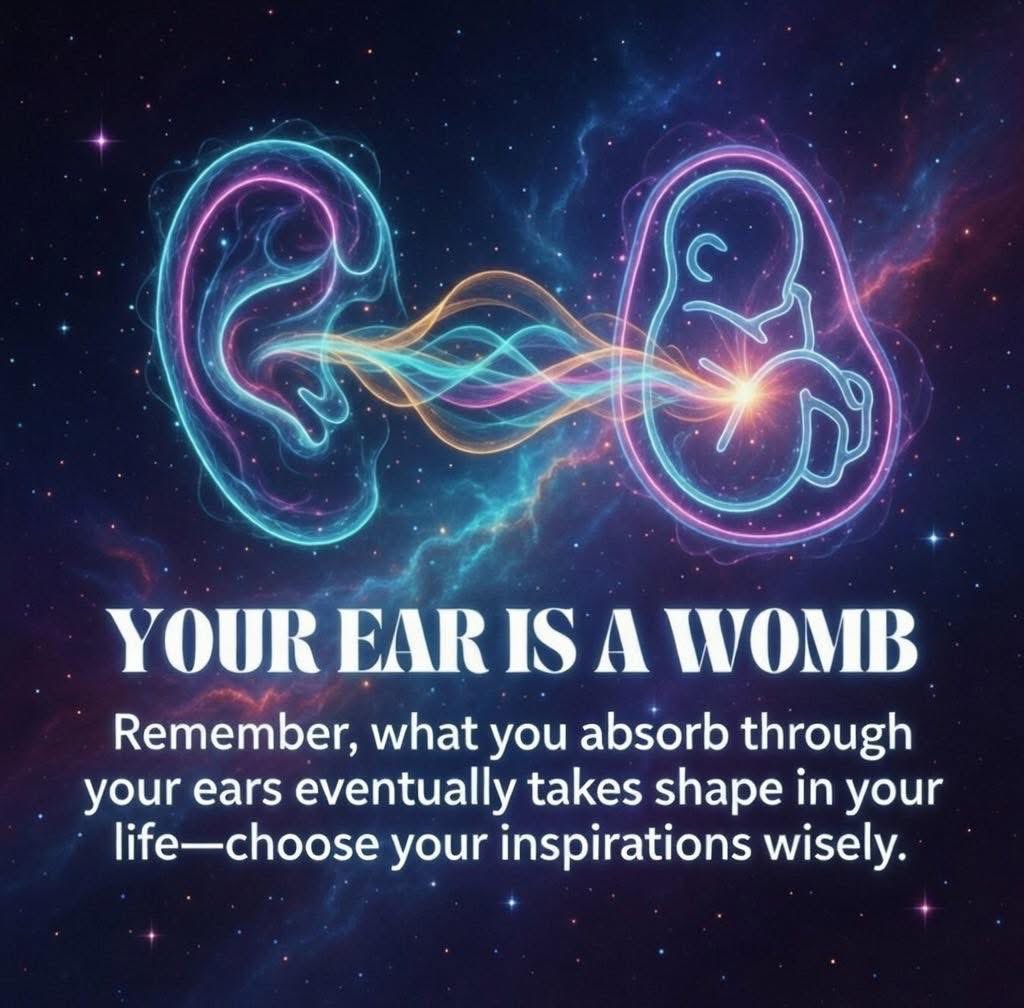 🧬Maxpein🧬 tweet media