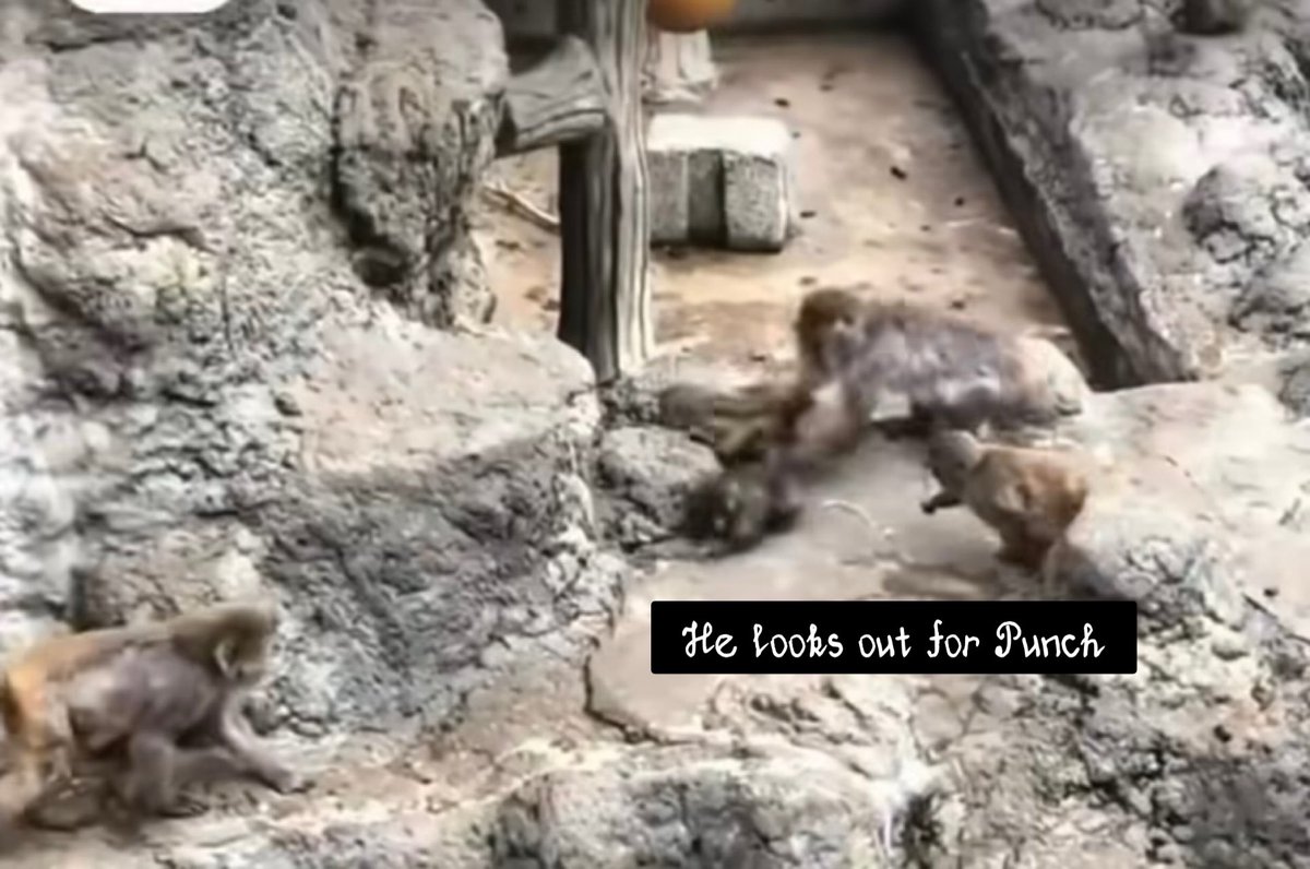 폭닥봉이☁️ tweet media