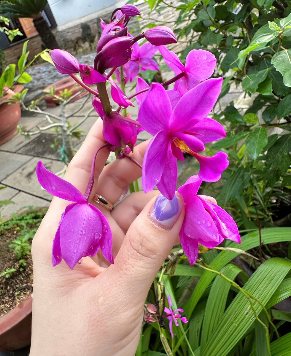 Cilin (mainnet arc) tweet media