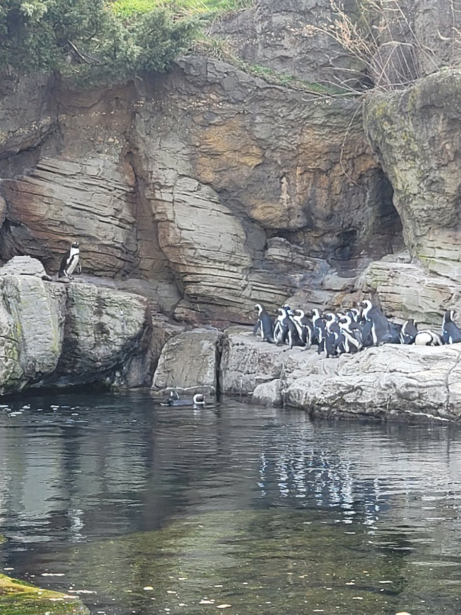 Constantinos tweet media