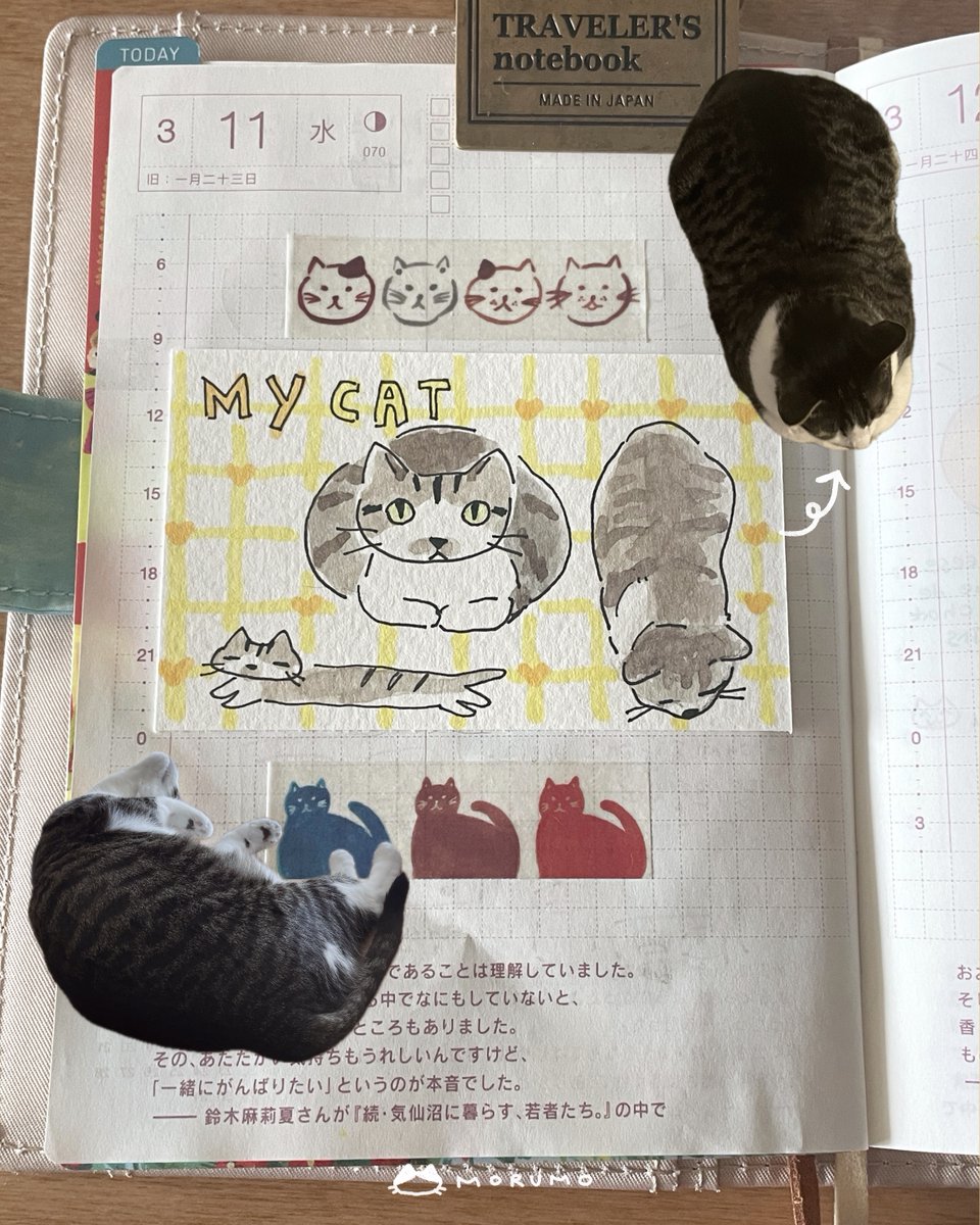 모루모 tweet media