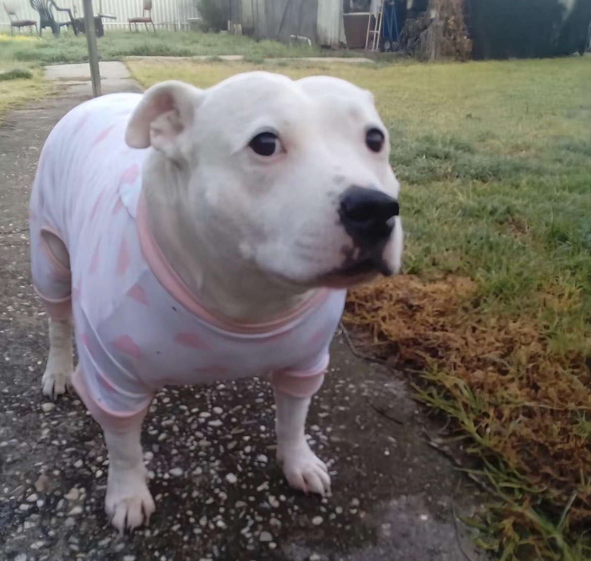 cons - NESS WEEK!!💞 tweet media