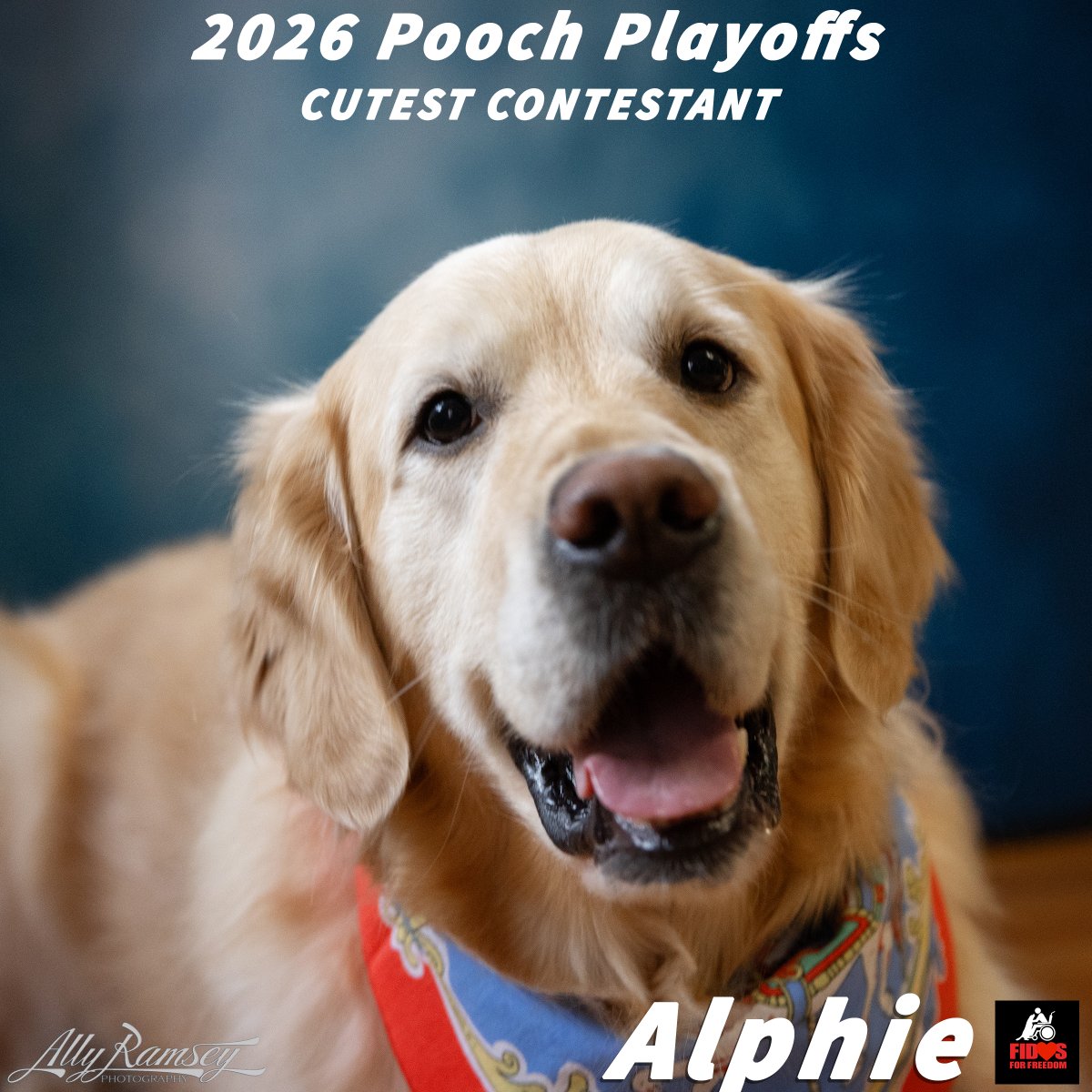 Fidos For Freedom tweet media