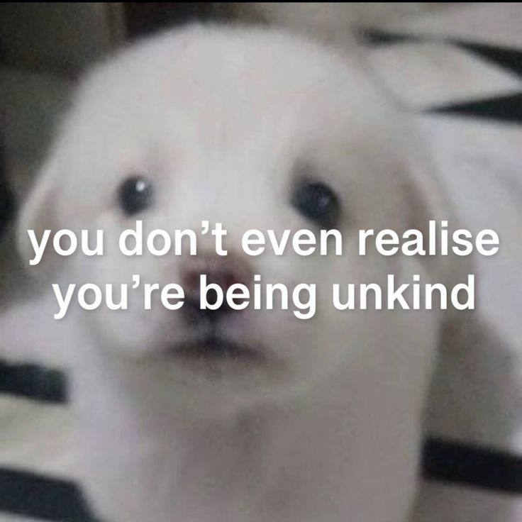 dogecore tweet media