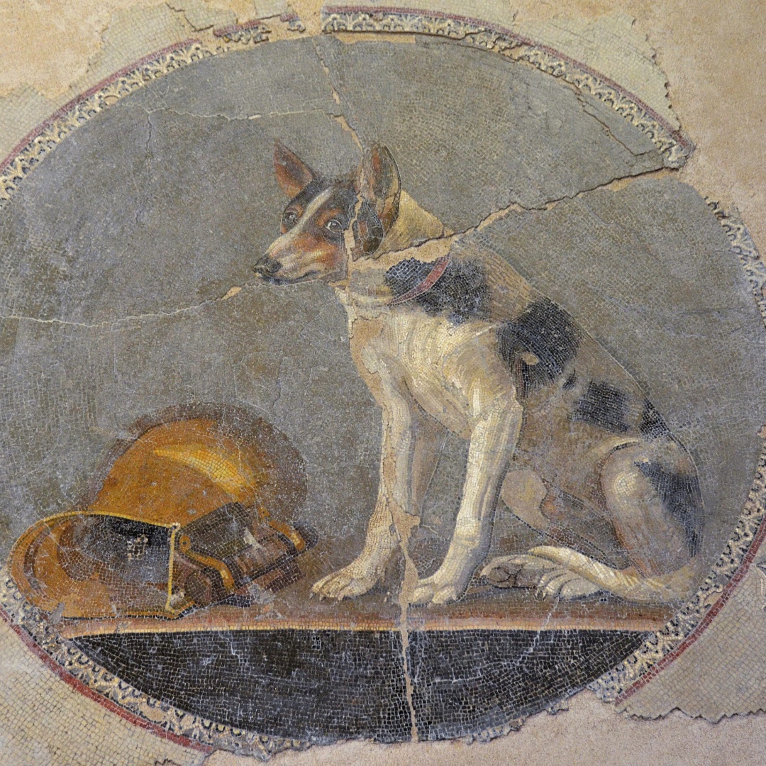 James Lucas tweet media