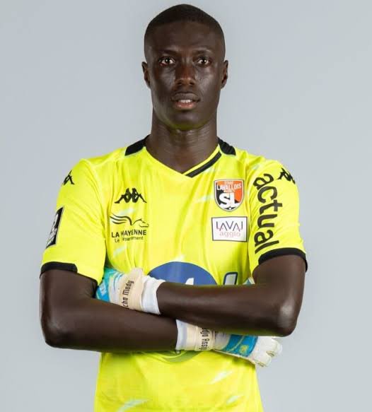 3 joueurs du stade Lavallois sont sélectionné pour la trêve internationale 
Cyril mandouki ( Martinique)
Mamadou Camara ( Mali  )
Mamadou samassa ( Mali )