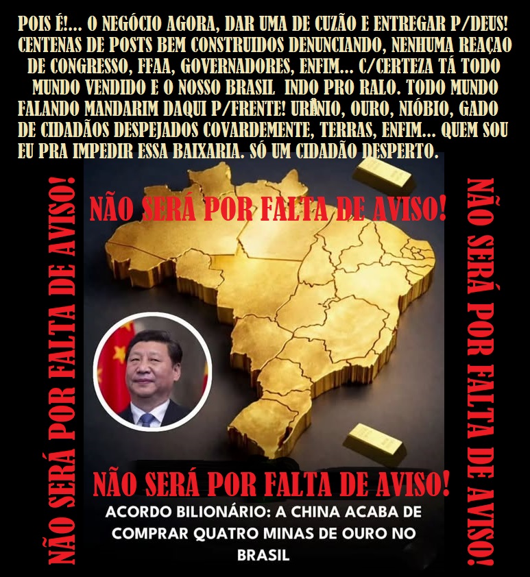 chico bonsai tweet media