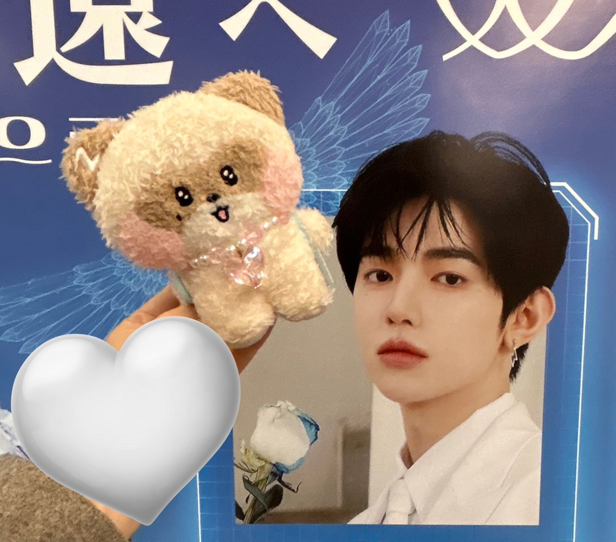 하피 tweet media