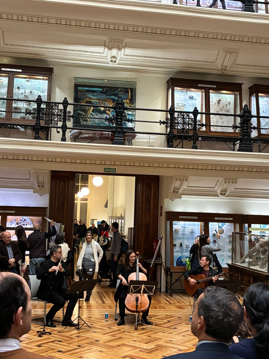 Museo Geominero tweet media