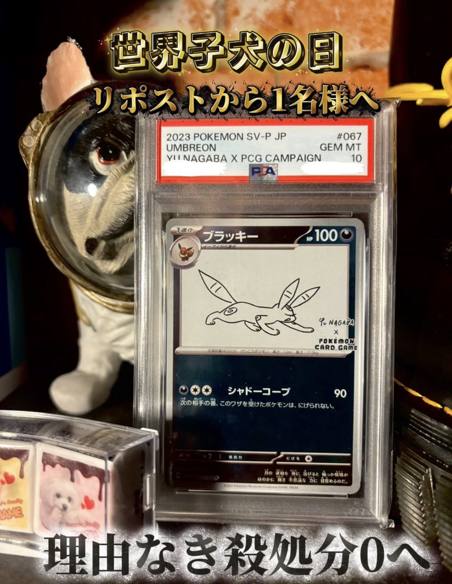 ドーン🐾 tweet media