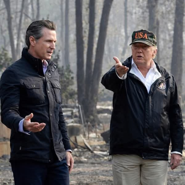 Betsy Gain tweet media