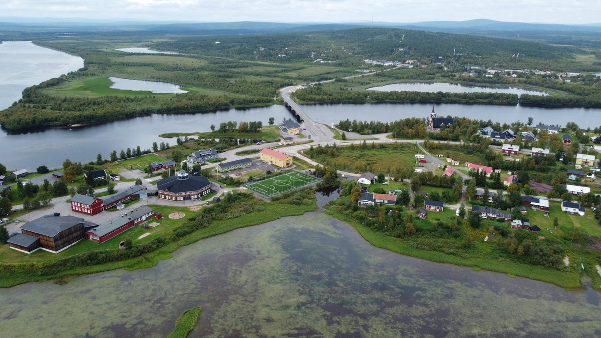 Peter ♛ tweet media