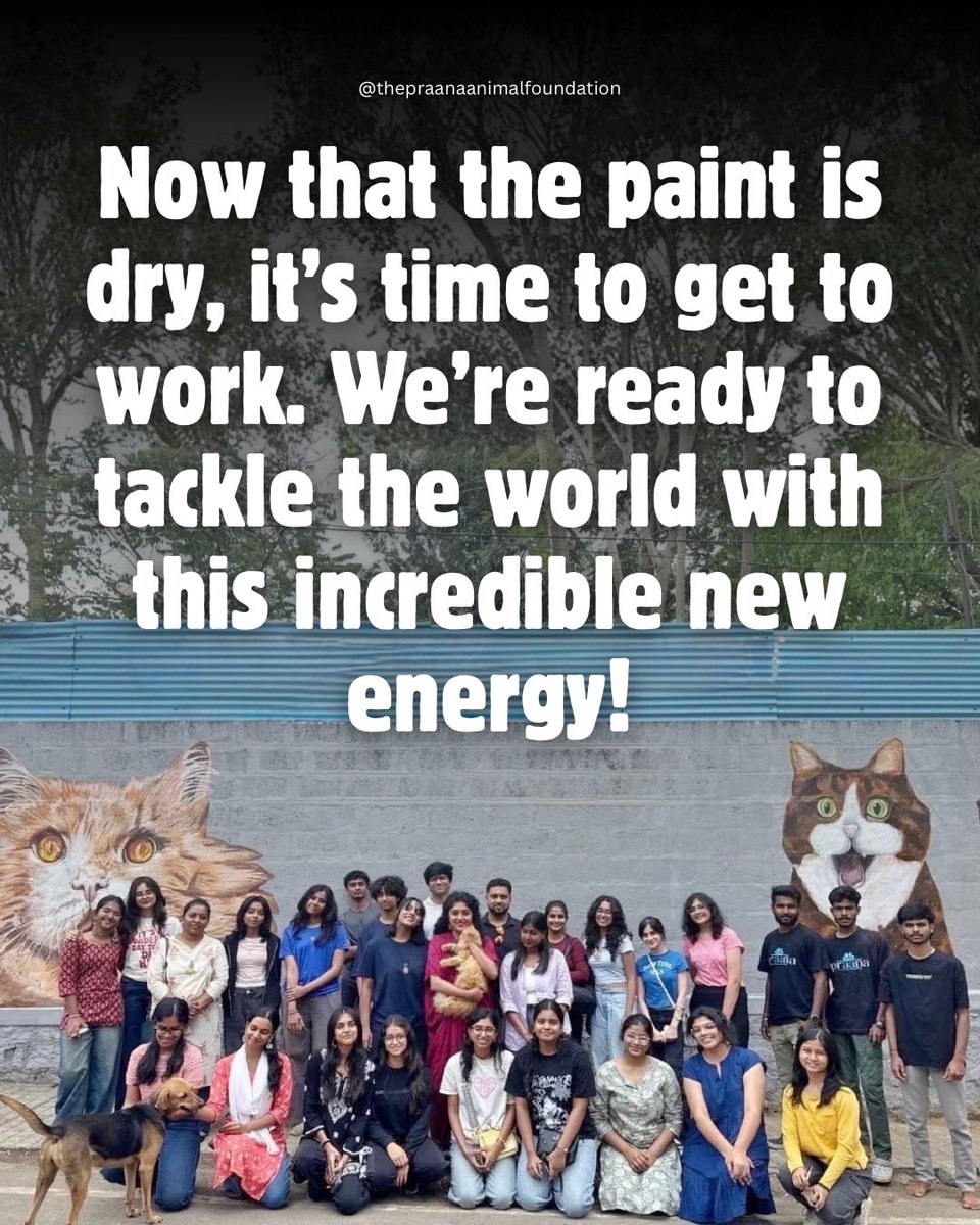 The Praana Animal Foundation tweet media