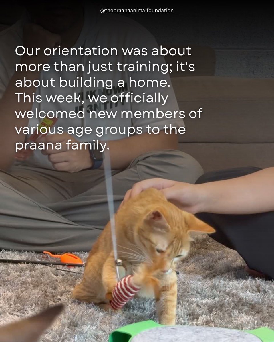 The Praana Animal Foundation tweet media
