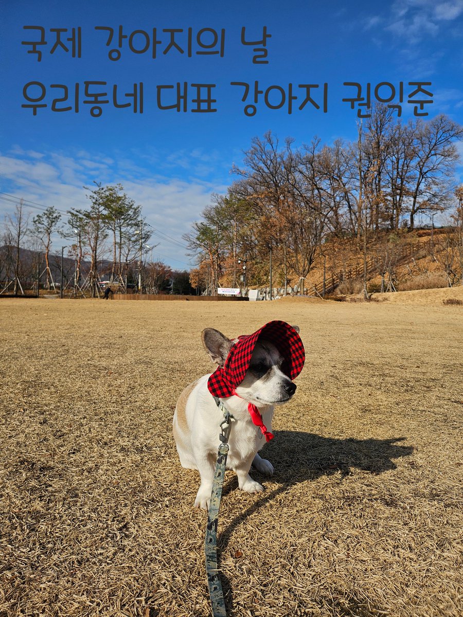 2006년 미국의 반려동물학자인 콜린 페이지의 제안으로 만들어진 날로, 매년 3월 23일이다. 국제 강아지의 날 제정은 세계 모든 강아지들을 사랑하면서 보호하는 것은 물론 유기견 입양 문화를 정착시키자는 취지로 이뤄진 것이다.
[네이버 지식백과] 국제 강아지의 날