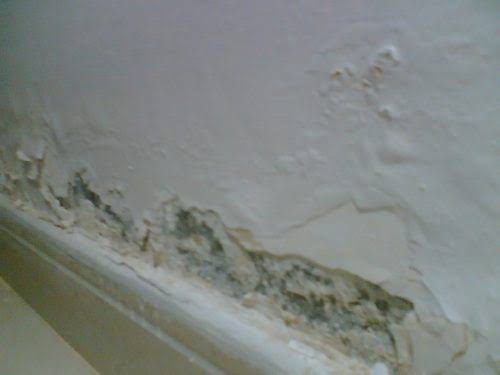 شركه كشف تسريب المياه تسريبات بالرياض عزل خزانات tweet media