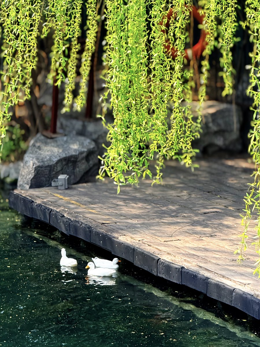 今天有学数分吗 tweet media