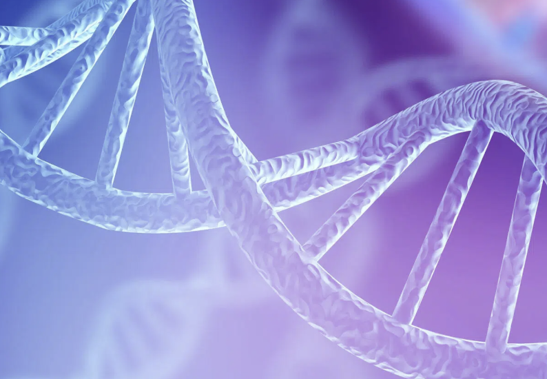 ColumbiaGCP's tweet image. Tomorrow is National DNA Day, commemorating the completion of the Human Genome Project in 2003 and the discovery of DNA's double helix in 1953. Read more here: ashg.org/dna-day/

#DNAday #sciencematters #alwayslearning