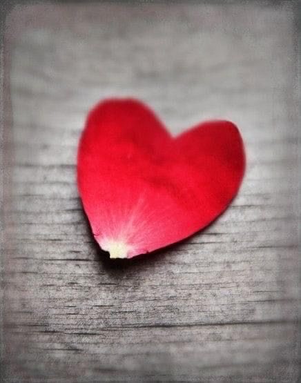 𝑨𝑳𝑯𝑨𝑴𝑨𝑫𝑰 tweet media