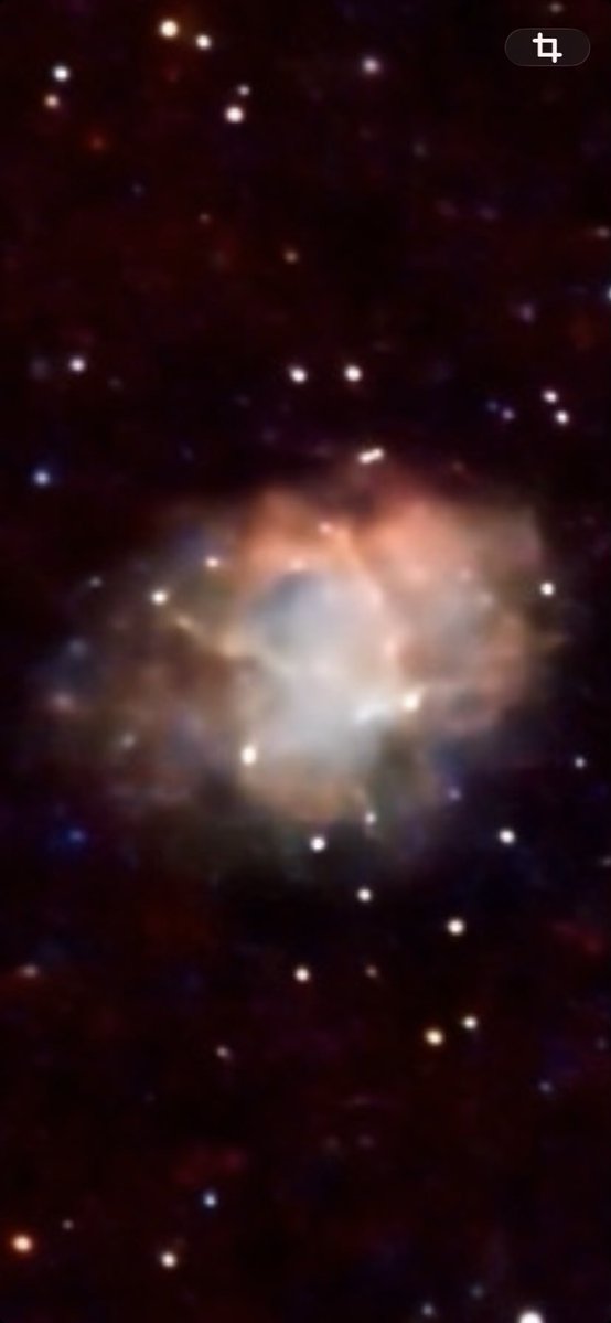 J C Le Danff 🎗️🤟 tweet media