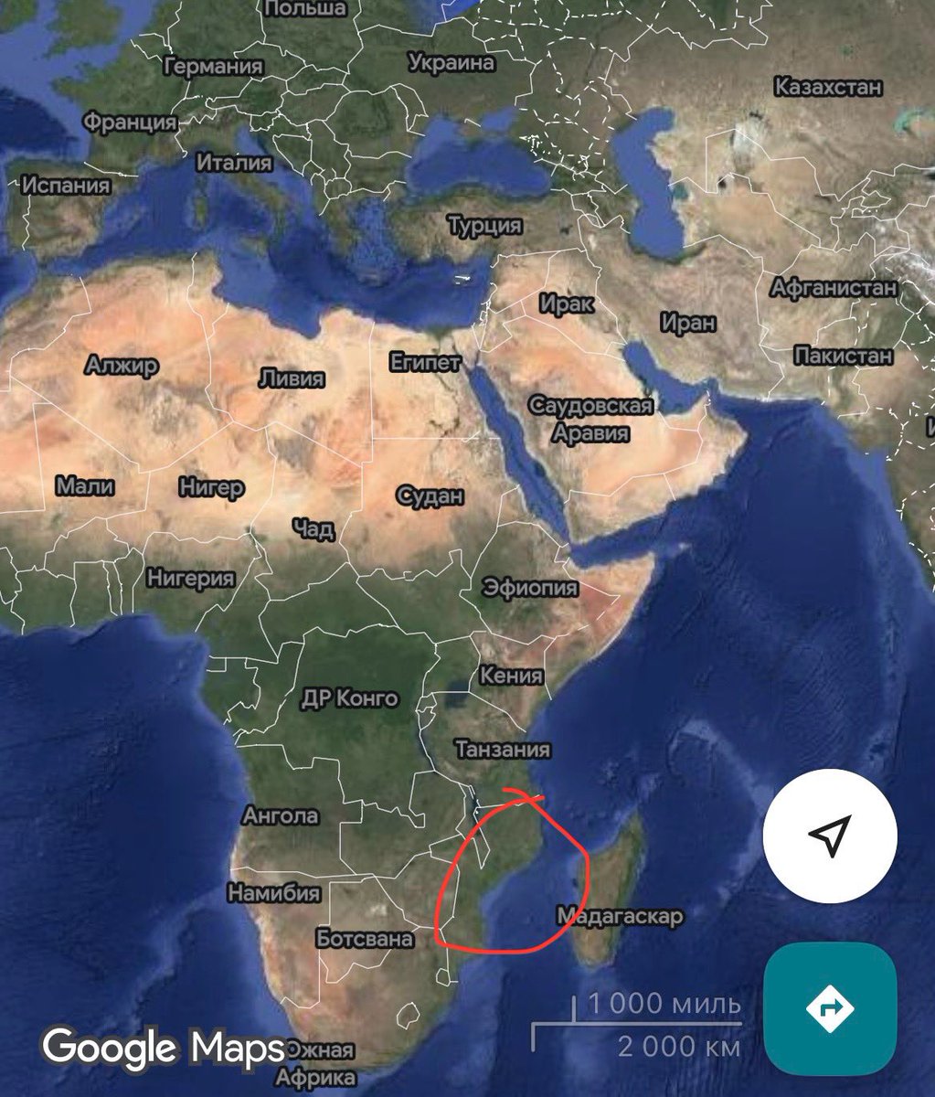 Платoн Peдbkин tweet media