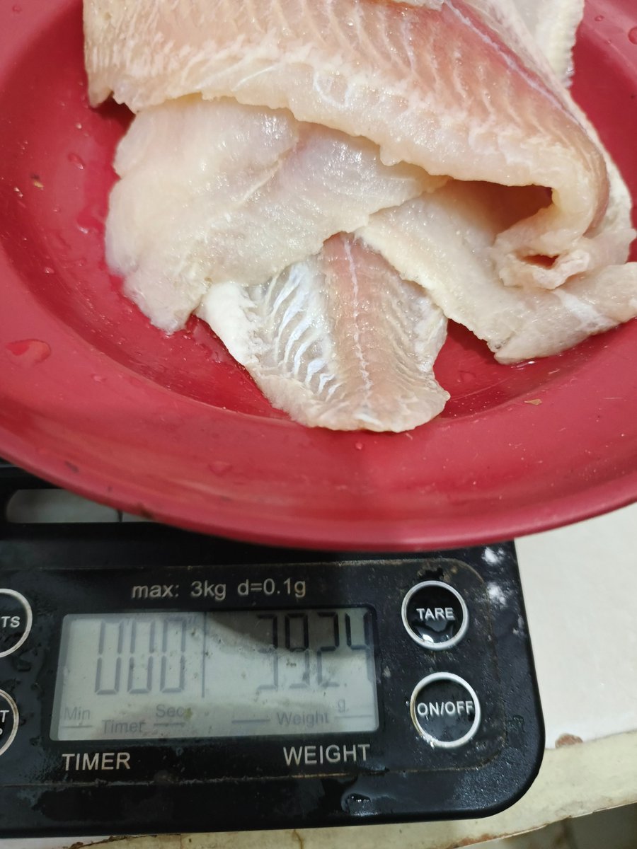 Coki Yang Ngetik😼😸😽 tweet media