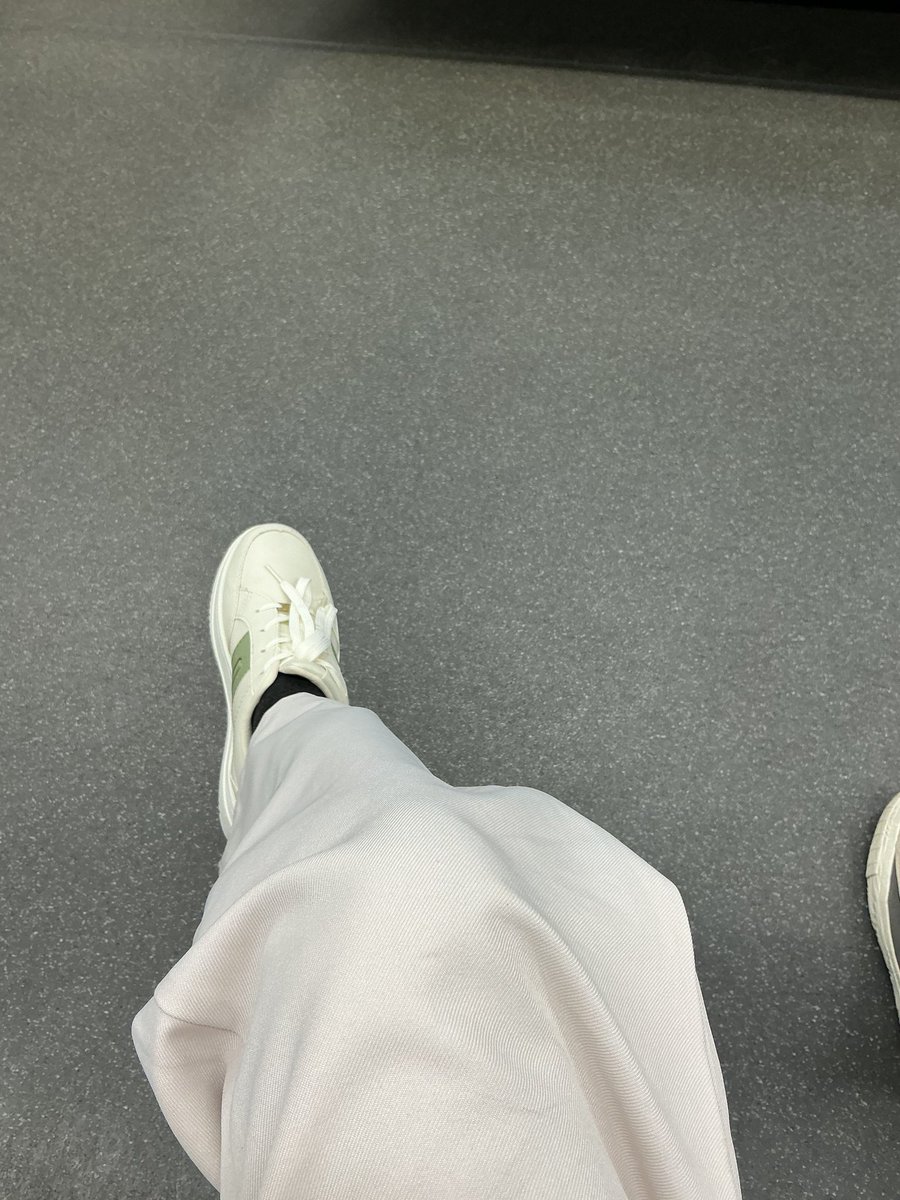 katosaurus tweet media