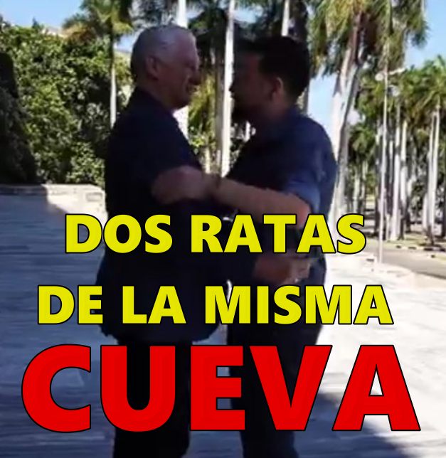 Amapola 🇨🇺 tweet media