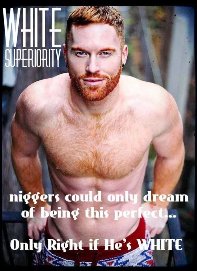 TradWhiteAlpha tweet media